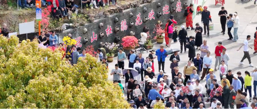 20240403——浙江仙居：以花为“媒” 助民识“邪”268.png